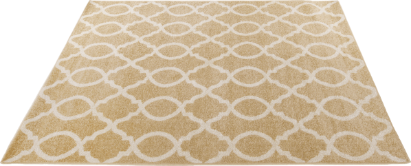 Vzorovaný kusový koberec NALA, 160x235 cm