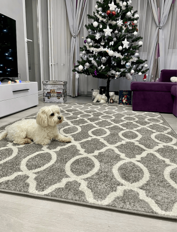 Kusový koberec DESTA, 57x90 cm