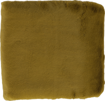 Kožešinová deka, zelená-greenery, 150x180, Rabita NEW TYP 8