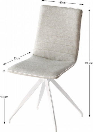 Jídelní židle BAHIRA, světlešedá / bílá